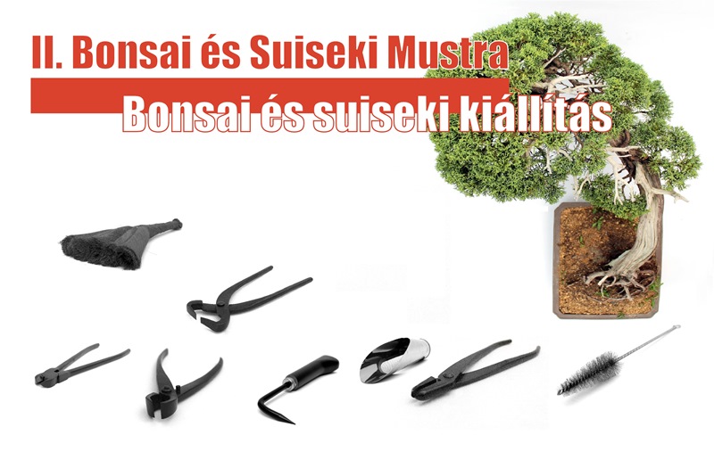 bonsai, suiseki, bonsai mustra 2013, kiallitas, alakitasi bemutato bonsai es suiseki mustra reszletes programja